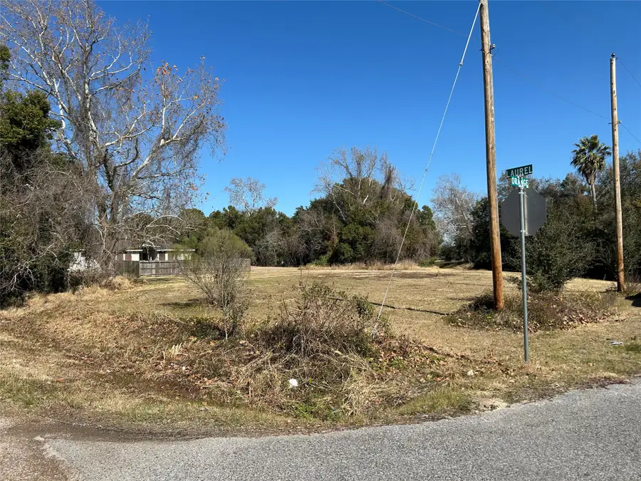 710 Orange St, La Marque, TX 77568 - #3