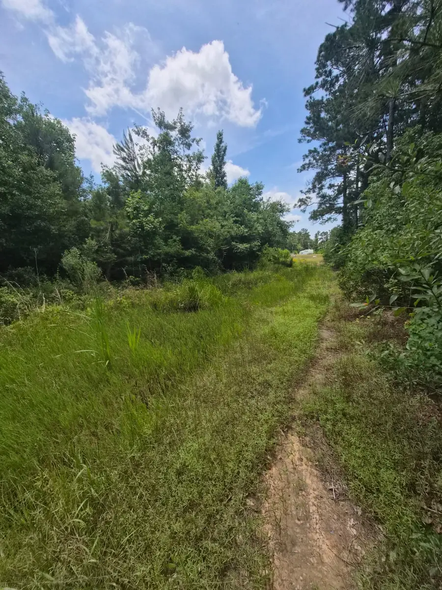 65 Road 5264, Cleveland, TX 77327 - #2