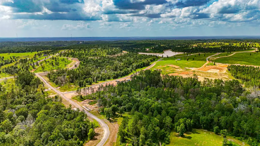 TBD LOT 5 Ridge Lake Road, Livingston, TX 77351 - #2