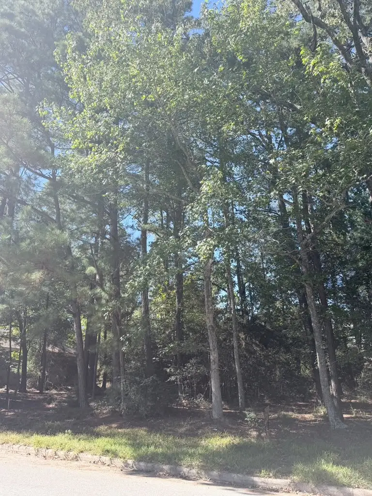 1936 Greentree Drive, Huntsville, TX 77340 - #2