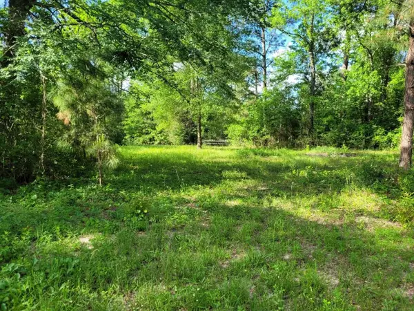15778 Hayden Road, Conroe, TX 77306