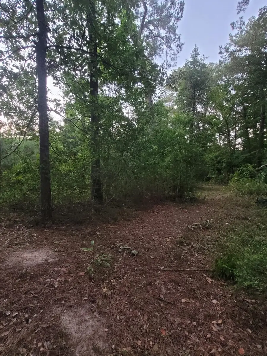 15778 Hayden Road, Conroe, TX 77306 - #2
