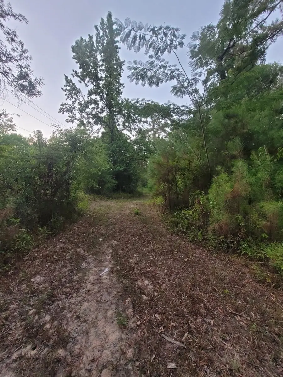 15778 Hayden Road, Conroe, TX 77306 - #3