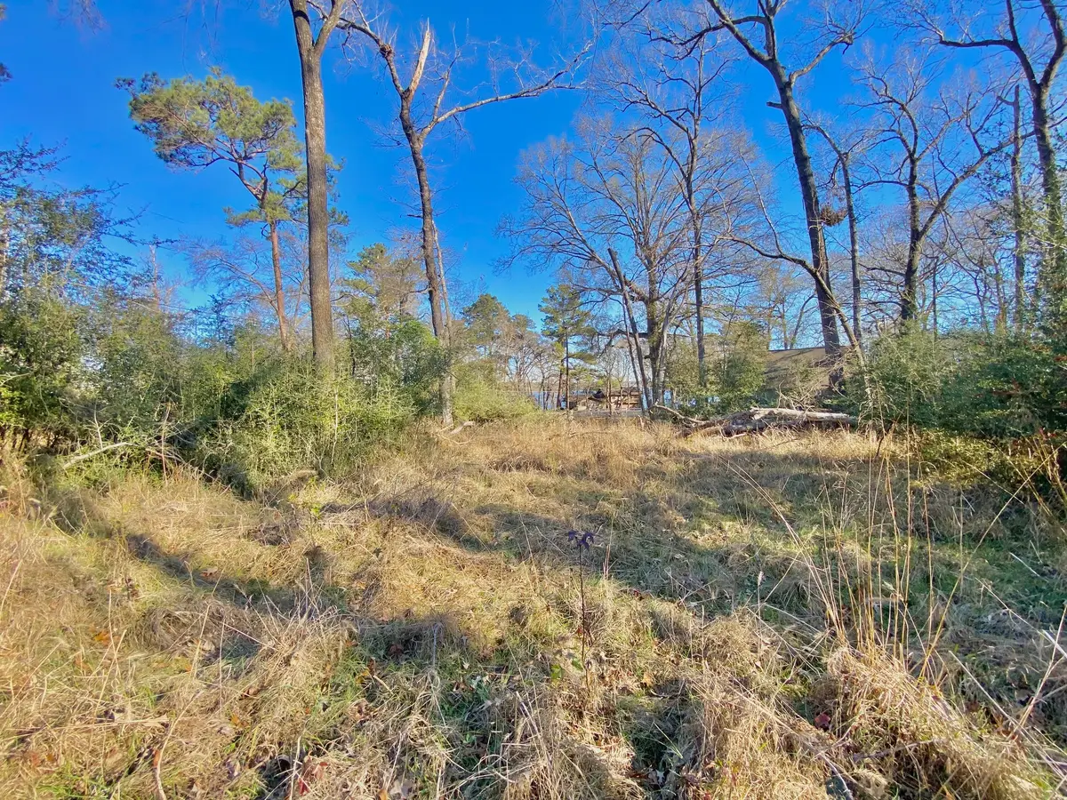 Lot #10 Tall Timber Road, Crockett, TX 75835 - #1