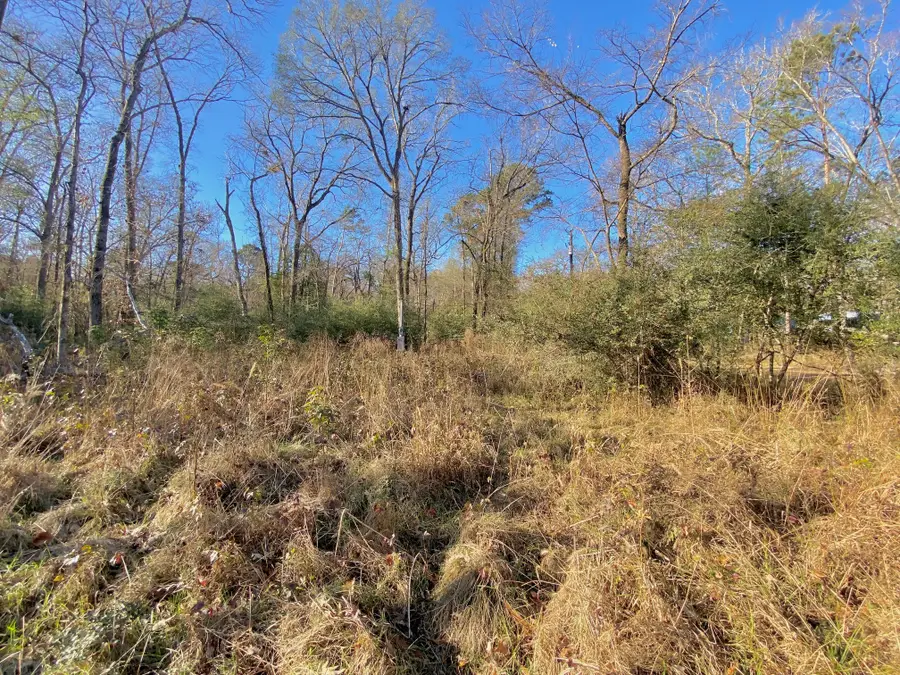 Lot #10 Tall Timber Road, Crockett, TX 75835 - #2