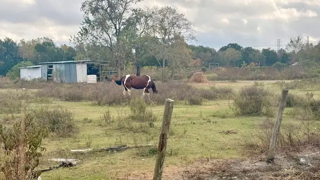 0 Webercrest Road, Houston, TX 77048 - Image #3