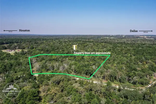 10 Acres Lot 81 Woodland Hills Ranch, Centerville, TX 75833