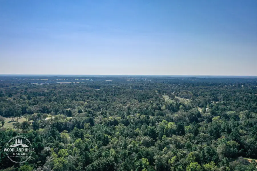10 Acres Lot 81 Woodland Hills Ranch, Centerville, TX 75833 - #3