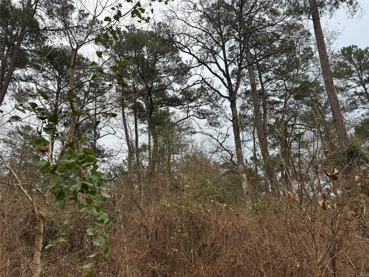 13475 White Oak Drive, Plantersville, TX 77363 - Image #1