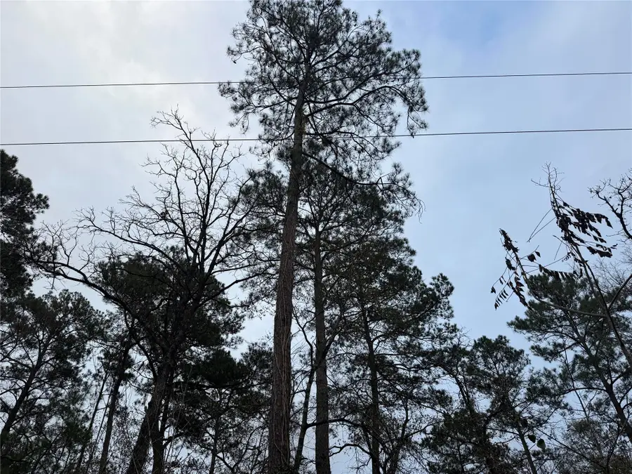 13475 White Oak Drive, Plantersville, TX 77363 - Image #2