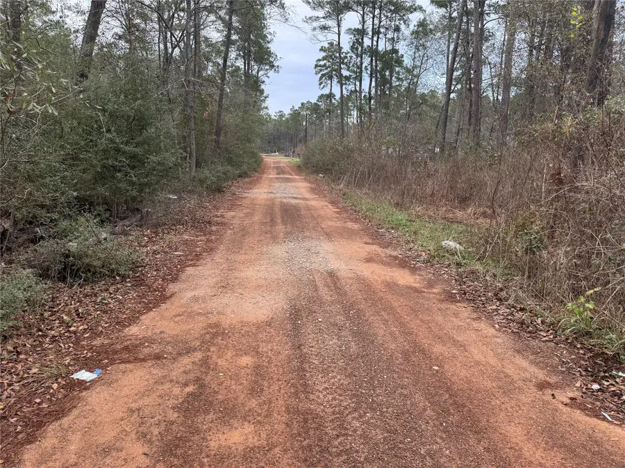 13475 White Oak Drive, Plantersville, TX 77363 - Image #3