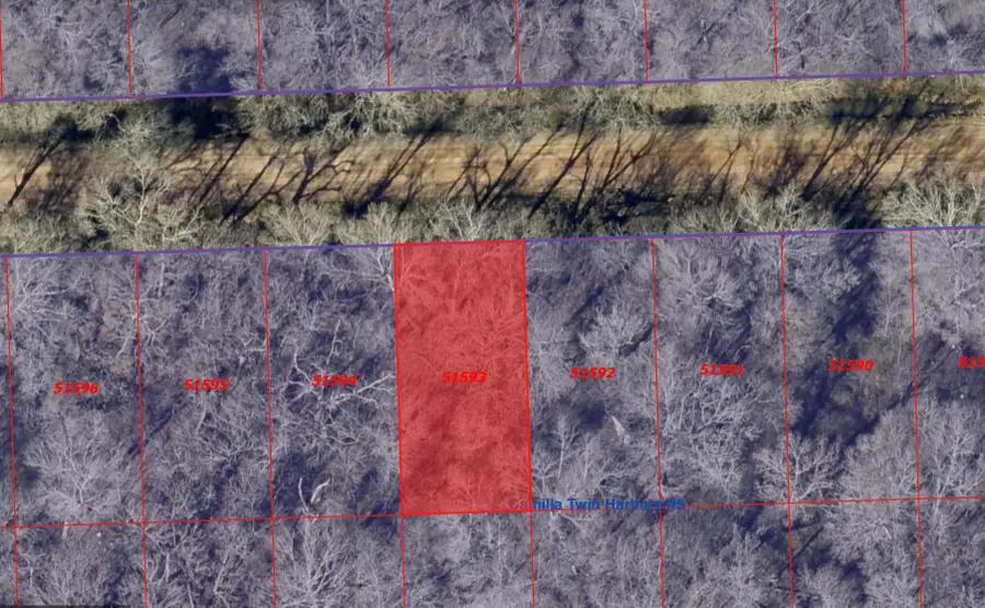 00 Smith Street, Coldspring, TX 77331 - Image #3