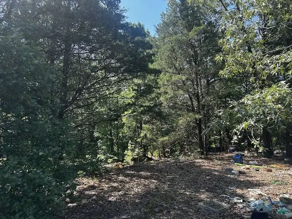 0 Victory School Road, Avinger, TX 75630