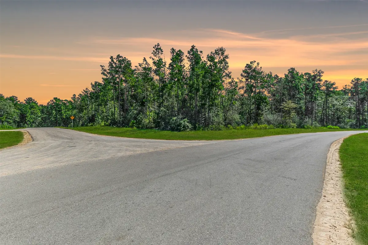 10711 Ruger Road, Willis, TX 77378 - Image #1