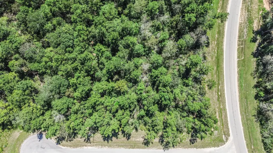 10711 Ruger Road, Willis, TX 77378 - Image #3