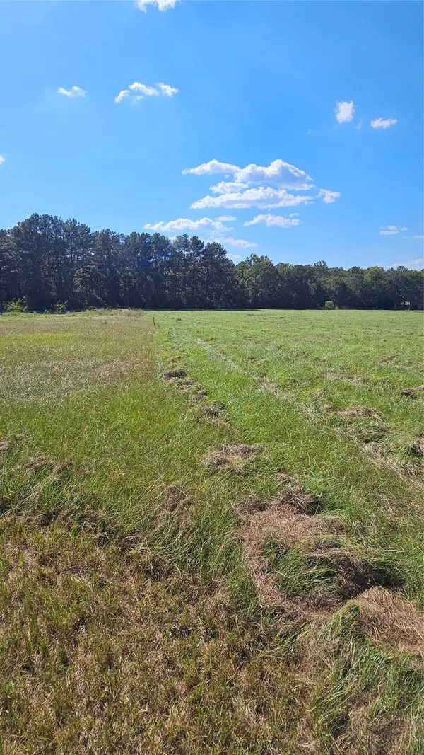 TBD Hawthorne Road N, New Waverly, TX 77358