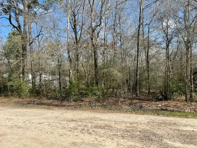 000 Somerset, Livingston, TX 77351 - #1