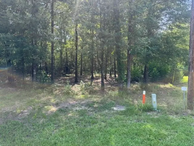 000 Somerset, Livingston, TX 77351 - #3