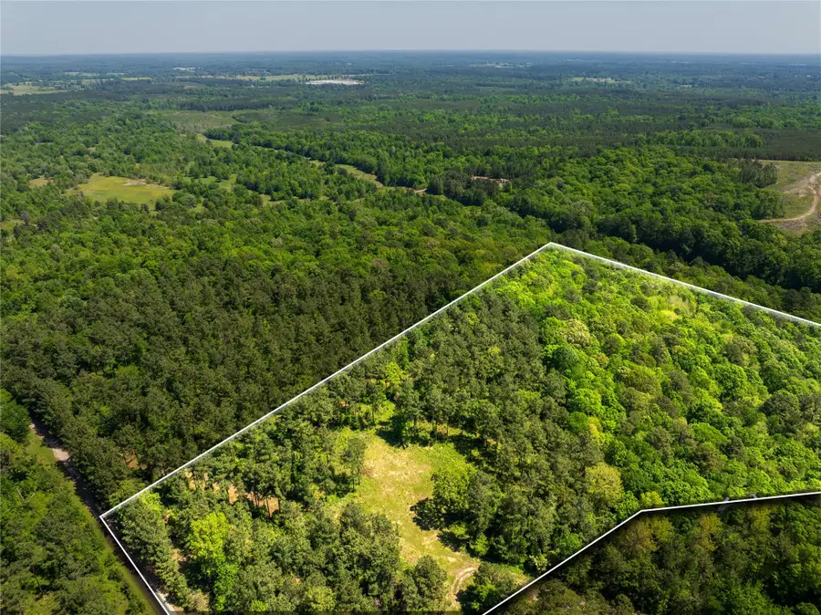 00 County Road 177, Garrison, TX 75946 - #2