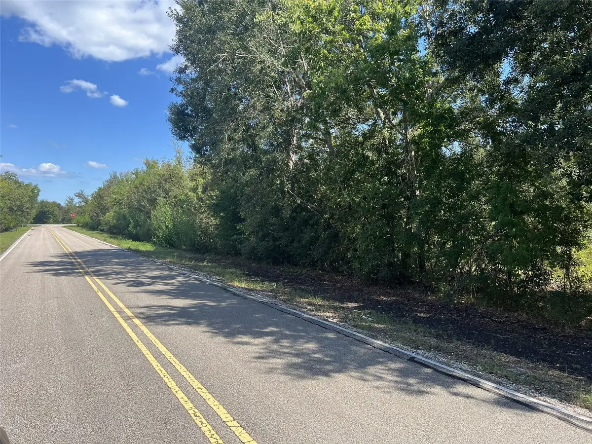 0 County Road 814 Road, Brazoria, TX 77422 - #1