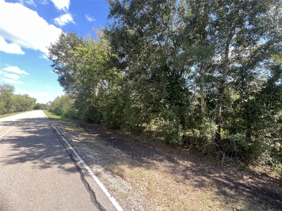 0 County Road 814 Road, Brazoria, TX 77422 - #3