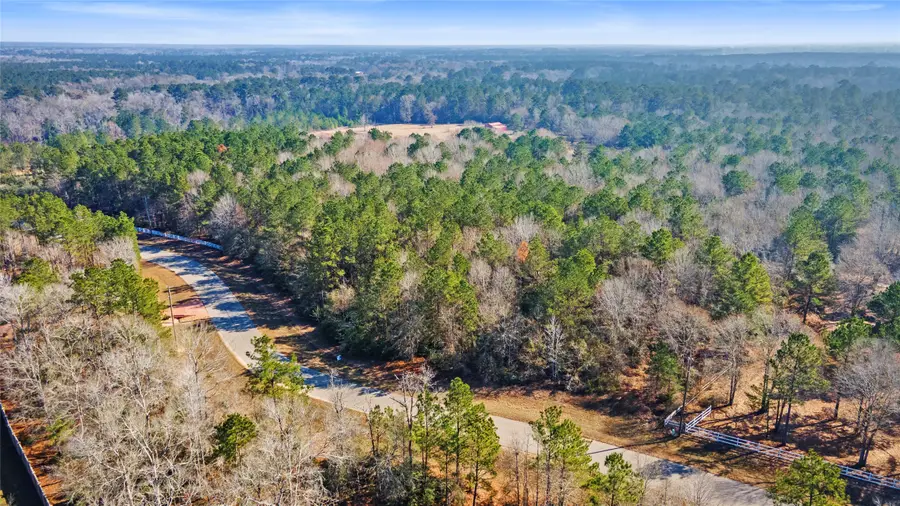 4410 N Duck Creek Road, Cleveland, TX 77328 - #3