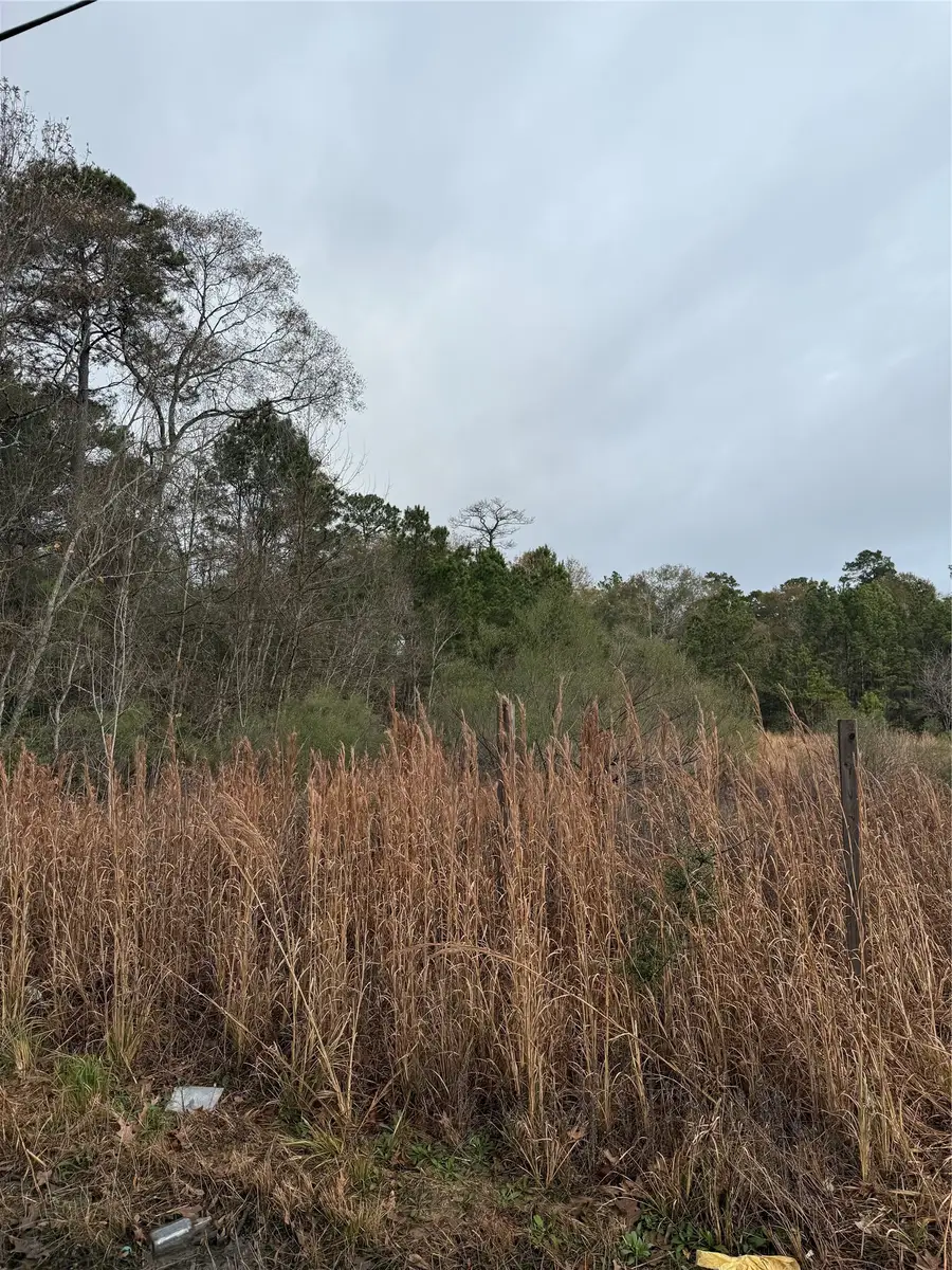 TBD River E, Splendora, TX 77372 - #2