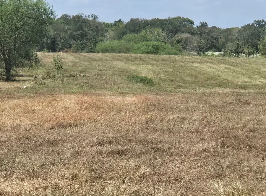 0 NW Hilltop Road, East Bernard, TX 77435 - #3