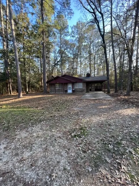 329 Blue Willow Drive, Village Mills, TX 77663 - #3