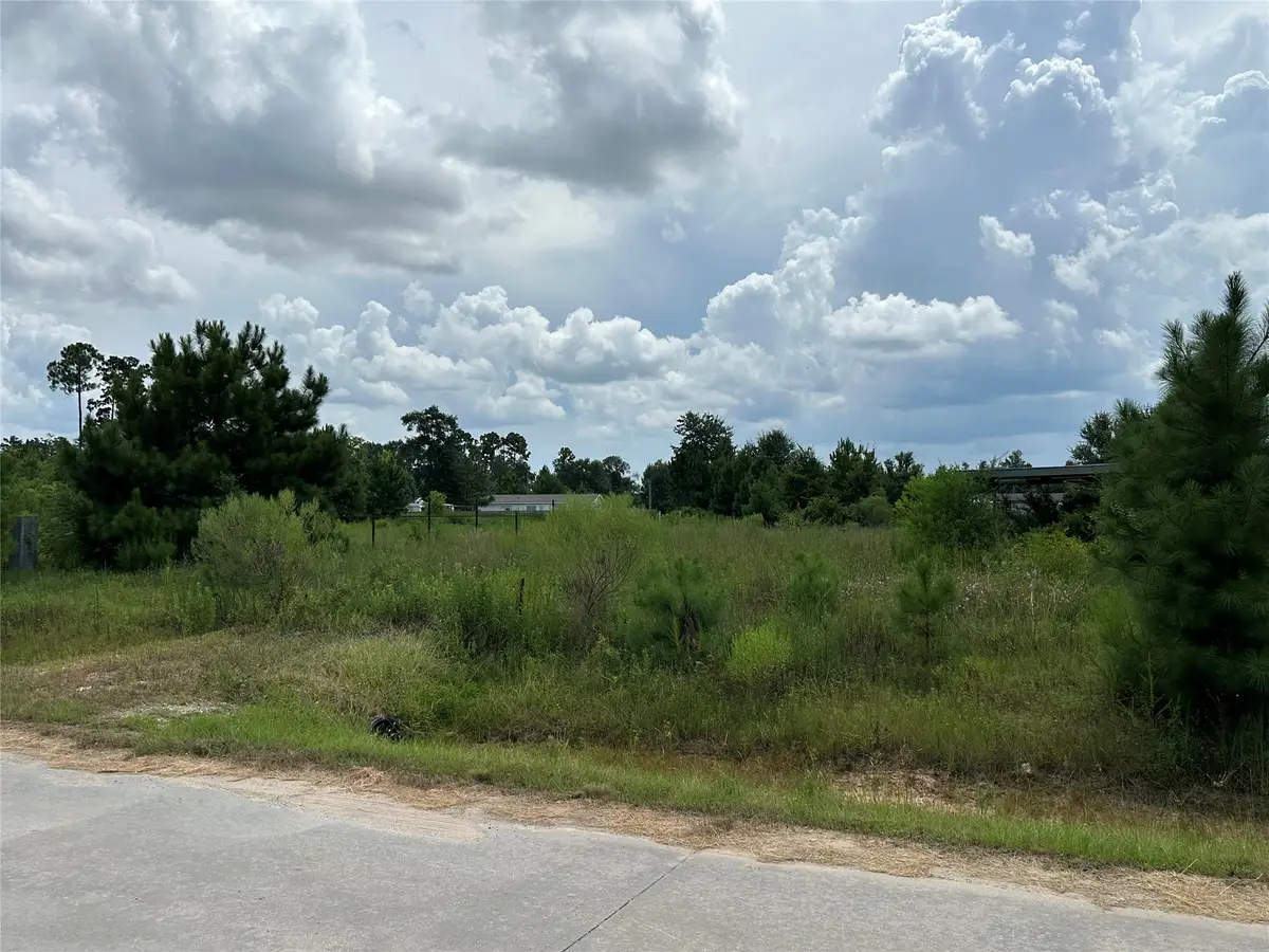 257 County Road 5025, Cleveland, TX 77327 - #1