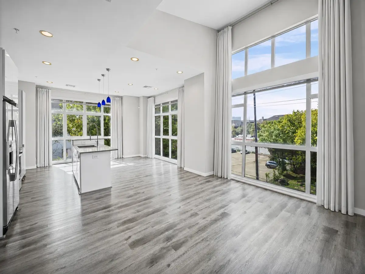 207 Pierce Street #305, Houston, TX 77002 - #1