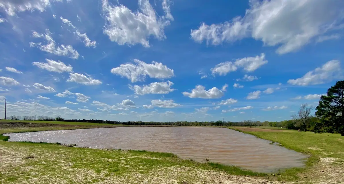 3145 Fm 1280 W, Lovelady, TX 75851 - #1