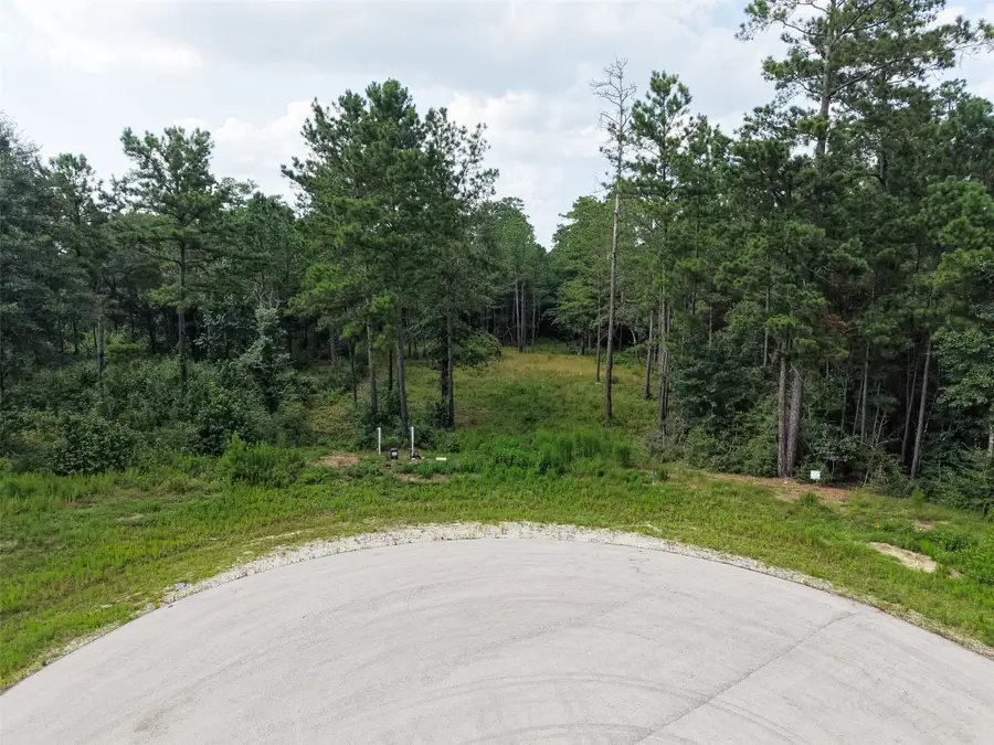 159 Gypsum Road, New Waverly, TX 77378 - #2