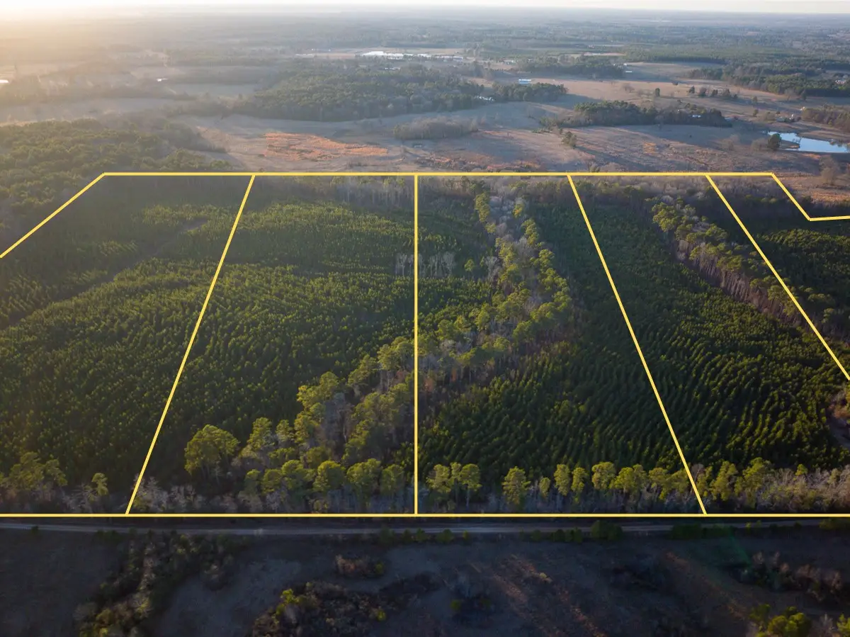 T-3 Cr 4415, Annona Avery, TX 75559 - #1