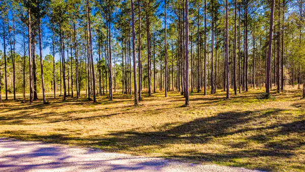 TBD Rolling Pines Drive, Livingston, TX 77351