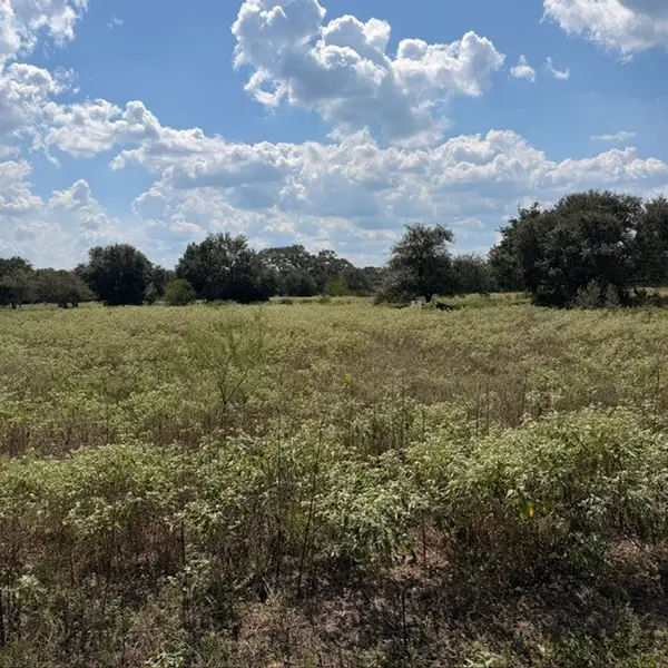 TBD Gadwall, Columbus, TX 78934