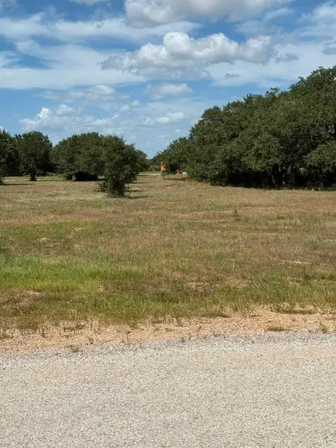 TBD Gadwall, Columbus, TX 78934 - #2