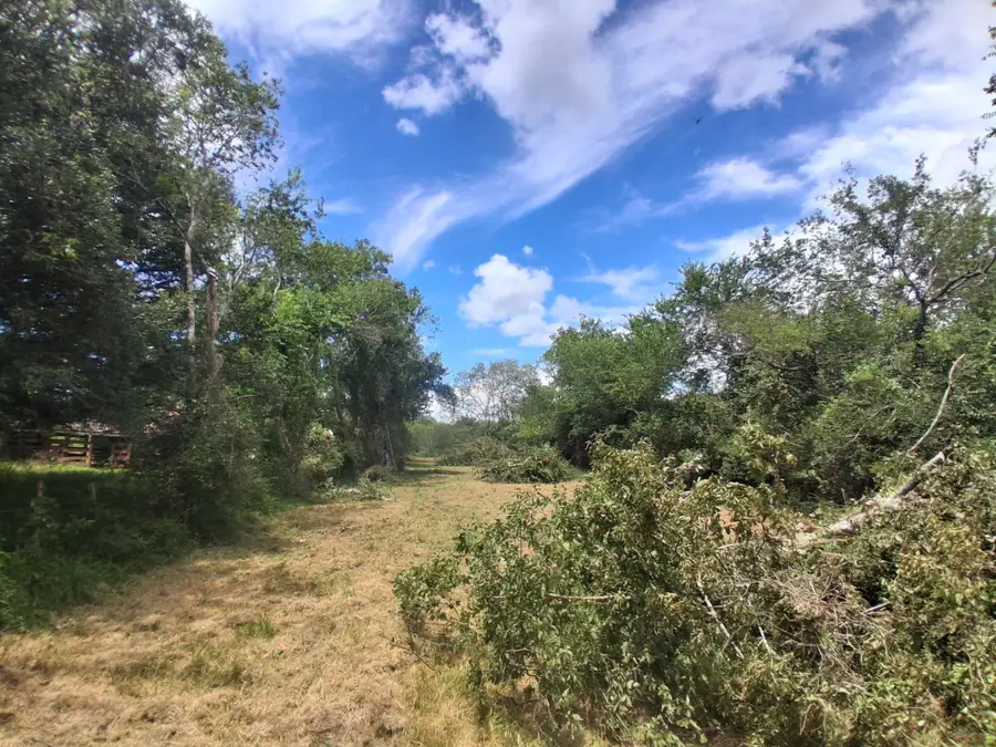 1016 Cr-7, Damon, TX 77430 - #2