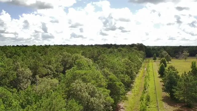 TBD A Dream Catcher Drive, Wallisville, TX 77597 - #2