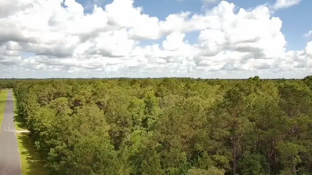 TBD A Dream Catcher Drive, Wallisville, TX 77597 - #3