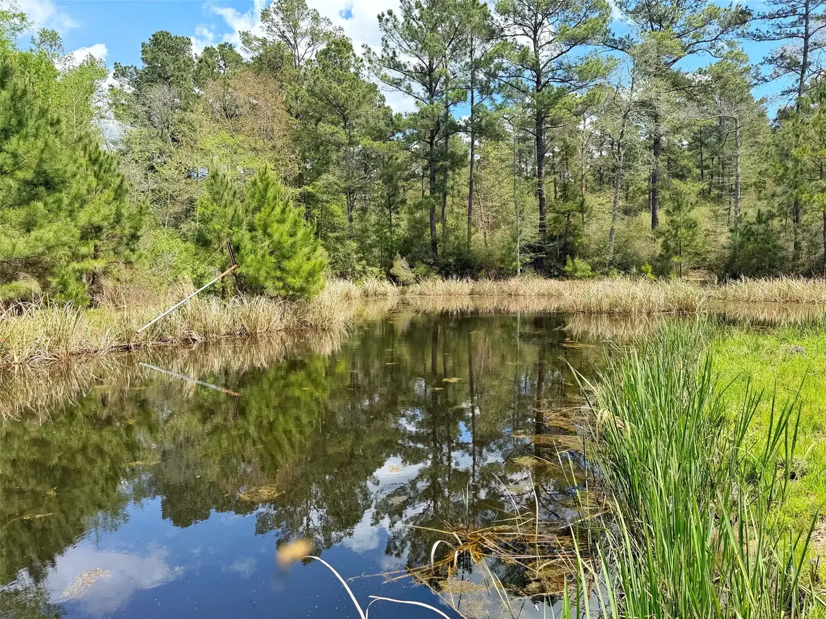 1878 Cr 131, Centerville, TX 75833 - #1