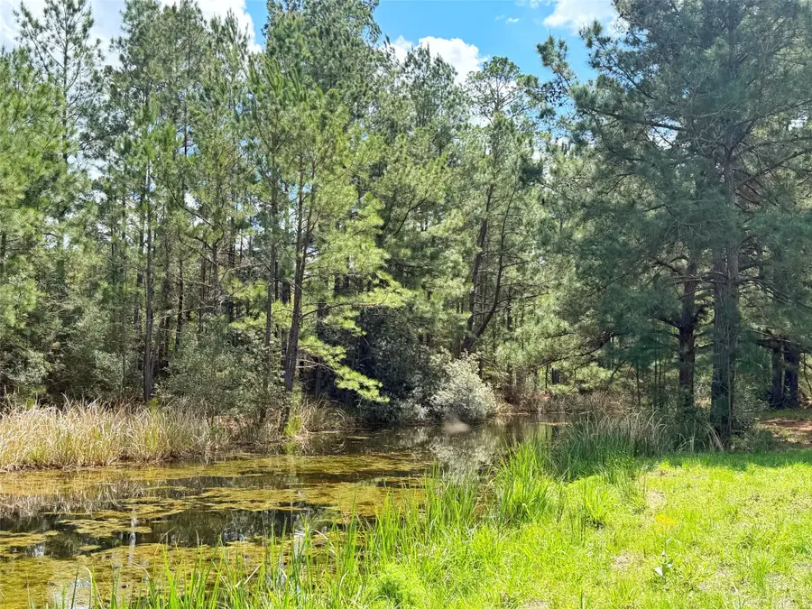 1878 Cr 131, Centerville, TX 75833 - #3