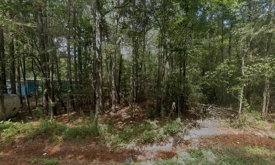 25581 Northampton, New Caney, TX 77357 - #2