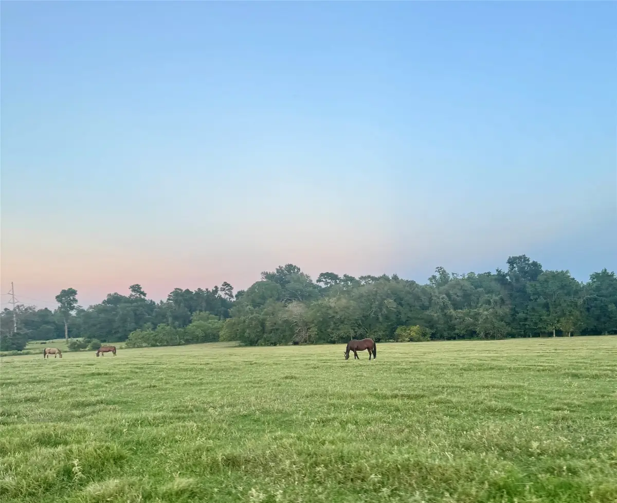 75 ACRES Spring Branch Road, Montgomery, TX 77316 - Image #1