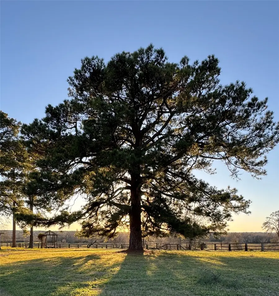 75 ACRES Spring Branch Road, Montgomery, TX 77316 - Image #2