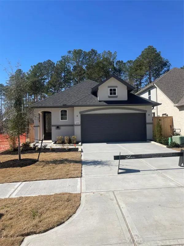 29945 Stony Forest Drive, Magnolia, TX 77354