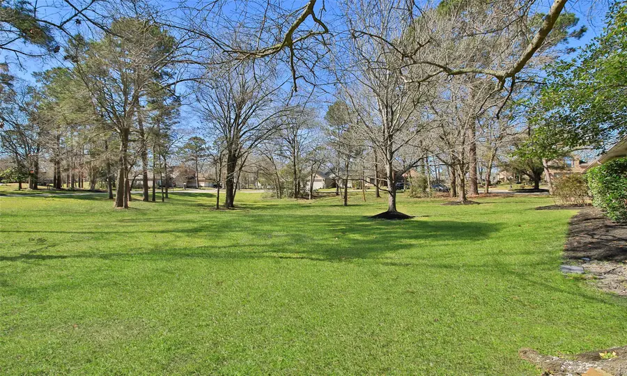 26 Winthrop Harbor Court, Montgomery, TX 77356 - #2