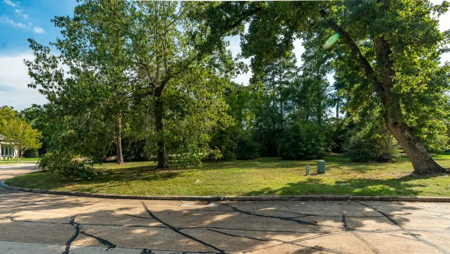 15 Stanford Court, Montgomery, TX 77356 - #3