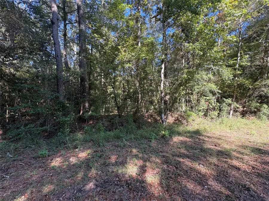 0 Fm 787, Thicket, TX 77374 - #2