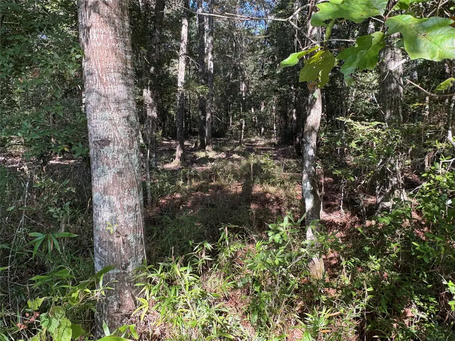 0 Fm 787, Thicket, TX 77374 - #3